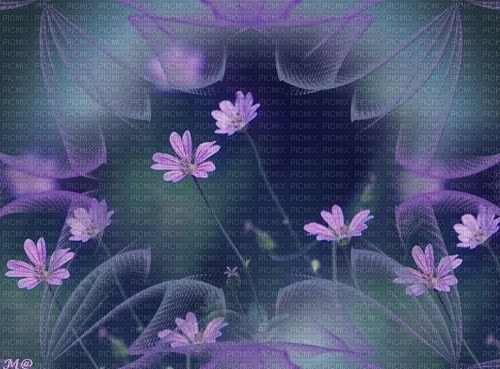 bg lila-blommor--background purple-flowers - gratis png