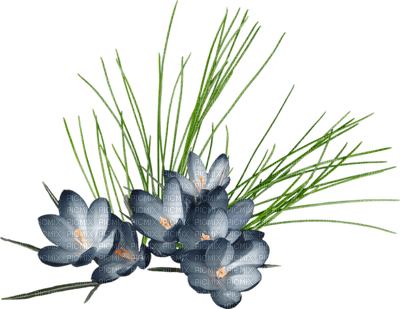 Kaz_Creations Deco Garden Grass Flowers - zadarmo png