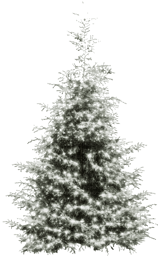 Winter Christmas Tree - Zdarma animovaný GIF