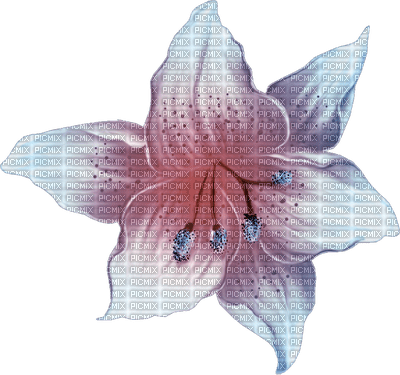 Kwiat niebieski 51 - безплатен png