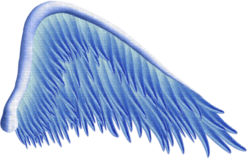 angel wing - nemokama png