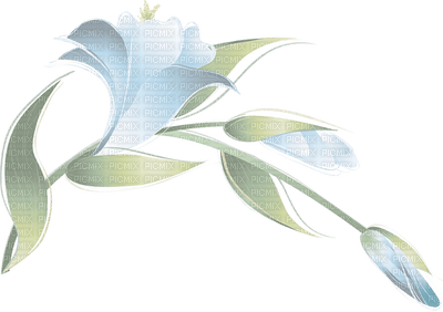Flowers blue bp - png grátis