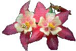 flowers - Free animated GIF