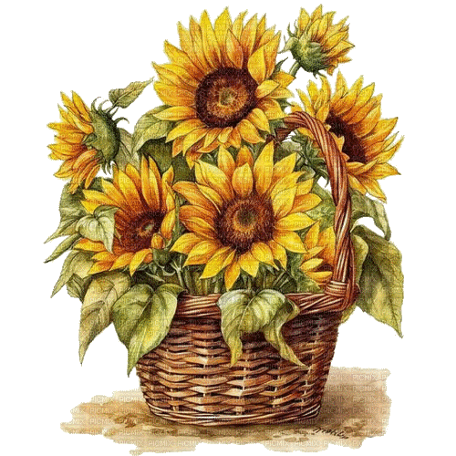 basket sunflowers, panier, tournesols - GIF เคลื่อนไหวฟรี