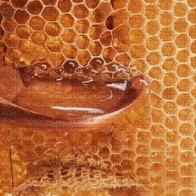 honey bp - 無料のアニメーション GIF