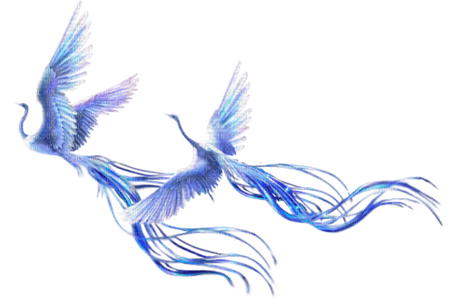oiseau bleu - png ฟรี