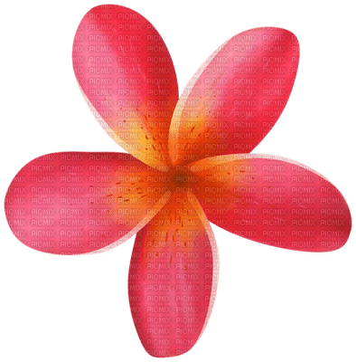 Kaz_Creations Flowers Deco Flower Colours - zadarmo png