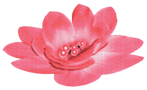 Flower.Pearls.Pink - zdarma png