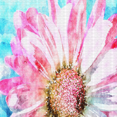 kikkapink spring flower background - Δωρεάν κινούμενο GIF
