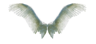 angels - Безплатен анимиран GIF