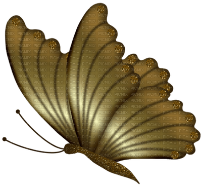 BUTTERFLY - gratis png