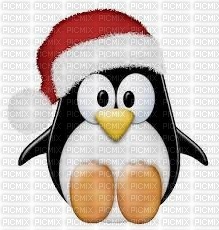 pingouin - png gratis