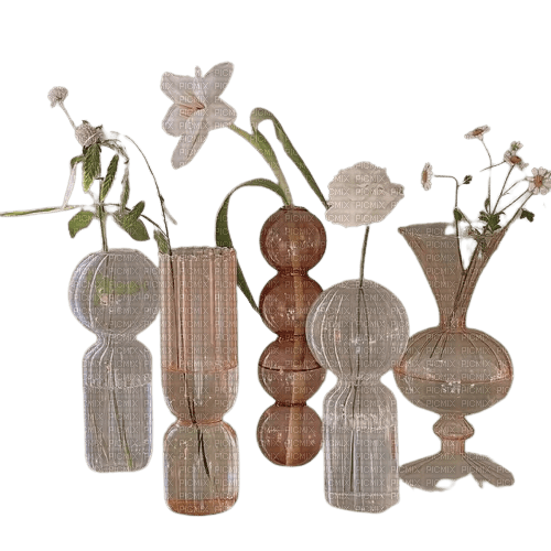 pretty vases - zadarmo png