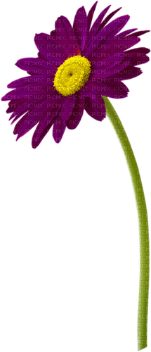 Flower.Purple - png gratuito