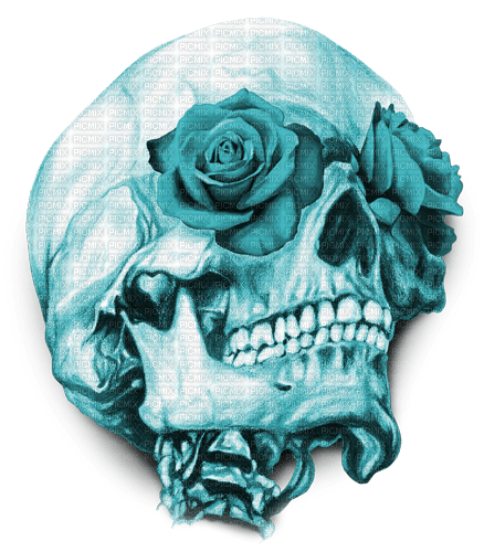 Y.A.M._Gothic skull blue - gratis png