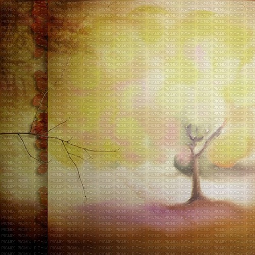 autumn background tree brown kikkapink - δωρεάν png