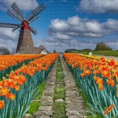 Spring Windmill Background - zdarma png