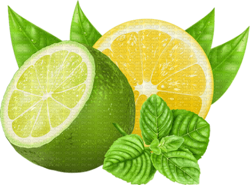 lemon citron 🍋 - gratis png