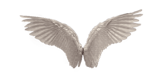 wings - kostenlos png