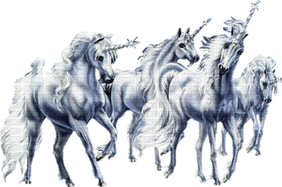 unicorn licorne - nemokama png