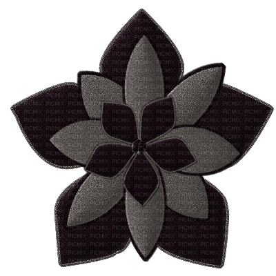 Kaz_Creations Black Deco Flower  Colours - besplatni png
