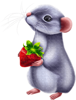 Mouse Strawberry - Bogusia - nemokama png