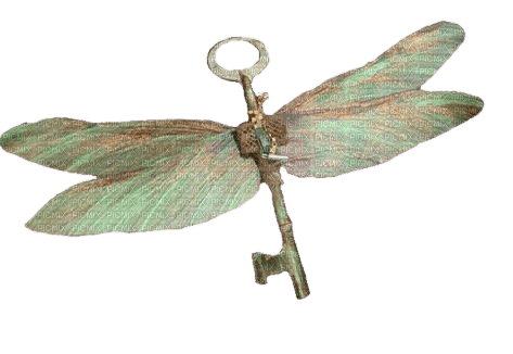 dragonfly key - Free PNG