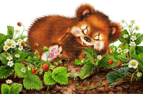 dolceluna spring bear sleep flowers - Free PNG