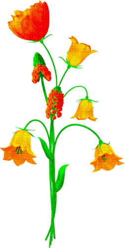 Flowers.Red.Orange - PNG gratuit