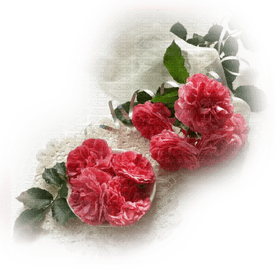 flower-pink-minou52 - PNG gratuit