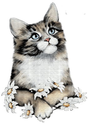 Kaz_Creations Cats Cat Kittens Kitten - 無料png
