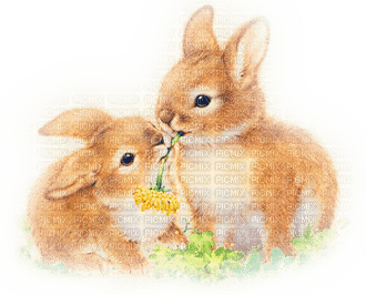 soave easter deco animals bunny spring  vintage - Free PNG