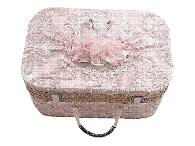 Kaz_Creations Pink Deco Case Colours - PNG gratuit