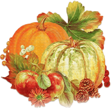 soave deco autumn tanksgiving  pumpkin orange - png gratuito