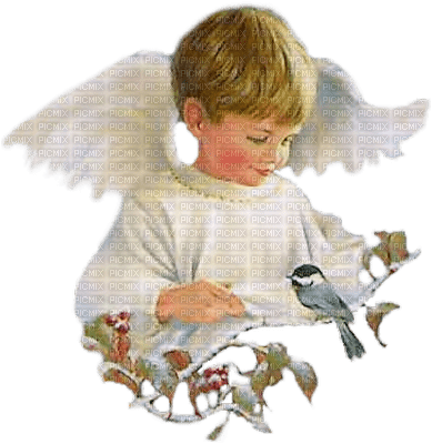 Kaz_Creations Baby Enfant Child Boy Angel - PNG gratuit