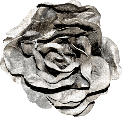 minou-fabric flower-tyg blomma-fiore tessuto - PNG gratuit