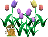 Tulips and Kitten Gif - GIF animasi gratis
