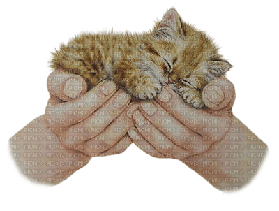 tendresse - Free PNG