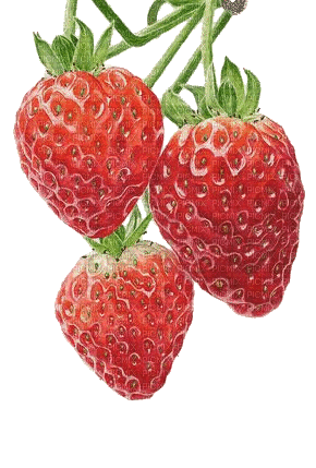 Erdbeeren - Ilmainen animoitu GIF