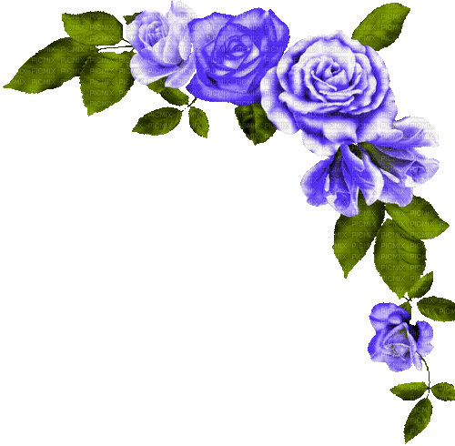 Animated.Roses.Blue - By KittyKatLuv65 - Free animated GIF