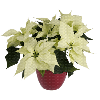 Noël.Christmas.Deco.Navidad.Pot.Vase.Plants.Victoriabea - darmowe png