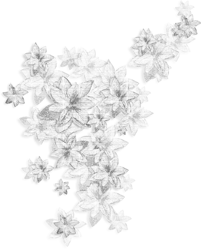 Flowers.White - δωρεάν png