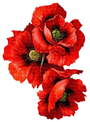 Y.A.M._Summer flowers decor - Free PNG