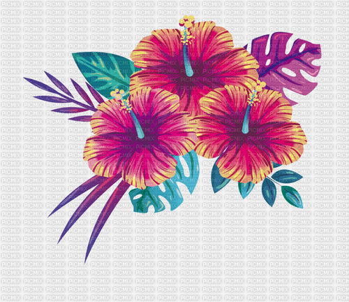 Summer Flowers - zadarmo png