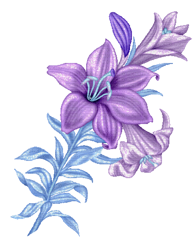 purple milla1959 - Ücretsiz animasyonlu GIF