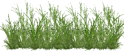 gras grass rasen race course deco tube spring printemps frühling primavera весна wiosna  garden jardin - Free animated GIF