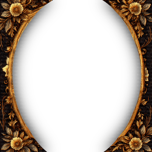 SM3 GOLD FLORAL BORDERS BLACK IMAGE - 免费PNG