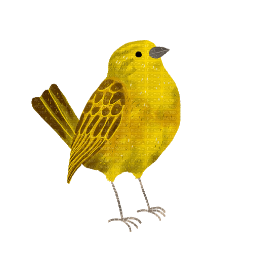 Bird - Animovaný GIF zadarmo