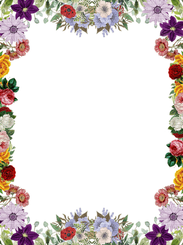 flower frame - zdarma png