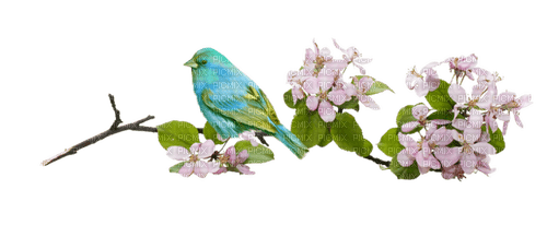 Spring Branch with Bird - бесплатно png